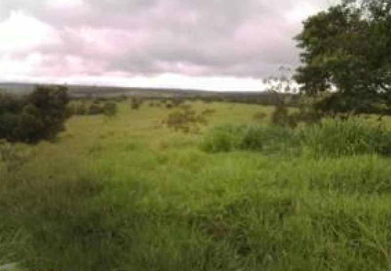 Imóvel Rural com 279,17 Hectares em Virgem da Lapa/MG