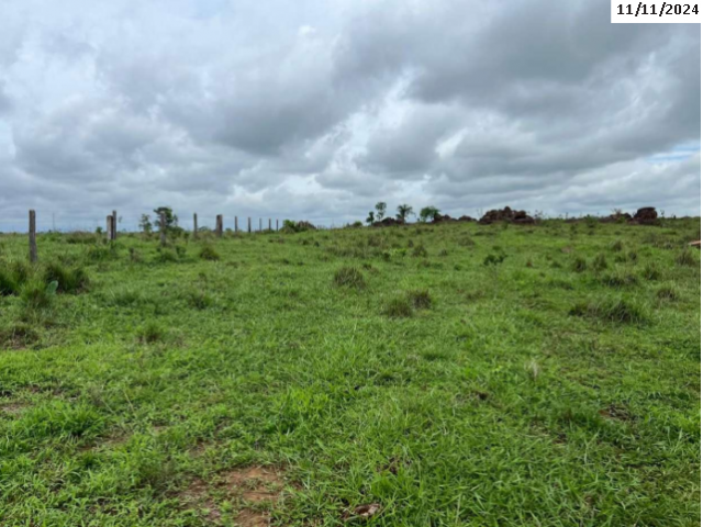 Fazenda com 230,14 hectares em Cacoal/RO