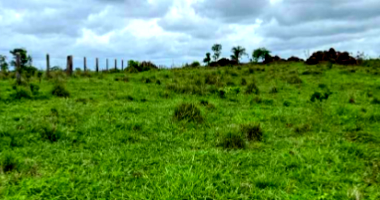 Fazenda com 230,14 hectares em Cacoal/RO