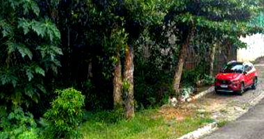 Terreno Comercial 41.946,18m² - Ocupado