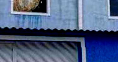 Apartamento Ocupado com 3 Quartos em Guaratiba, Rio de Janeiro