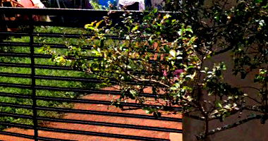 Casa com 2 quartos, 1 banheiro e 60m² construída, desocupada