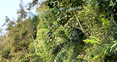 Terreno de 3 hectares sem benfeitorias, área total 140.725 m²