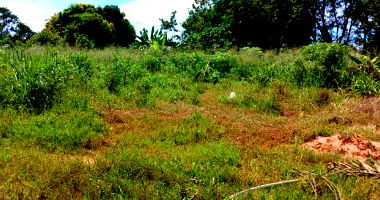 Lote Urbano com 523,84m² em Nova Maringá-MT