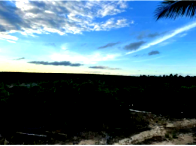 Chácara Produtiva com 5.000 Pés de Pimenta