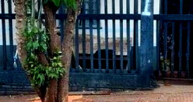 Casa em Campo Mourão com 3 quartos e 2 banheiros