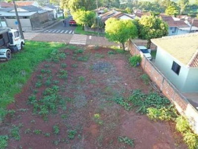 Terreno Urbano 250m² em Mamborê PR