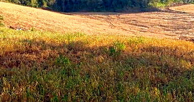 Lote Colonial em Mondaí/SC com 6.165,25m²