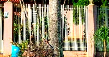 Casa com 2 Quartos em Rolândia/PR