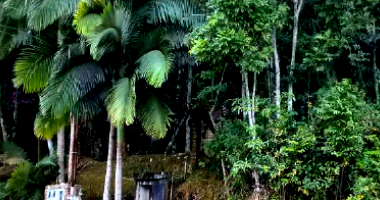 Terreno com área de 26.026,00m² em Rio dos Cedros/SC