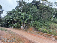 Terreno com área de 26.026,00m² em Rio dos Cedros/SC