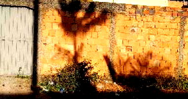 Casa em Cocalzinho de Goiás com 2 quartos