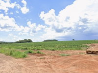 Imóvel Rural de 34,95ha em Uberlândia/MG