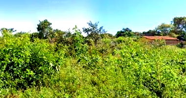 Terreno de 300m² em Piripiri/PI