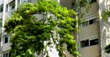 Apartamento em São Paulo/SP - Santo Amaro com 216m² útil