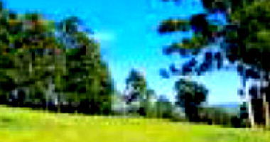 Área Rural com 4,84 ha, desocupada e com acesso por outros terrenos