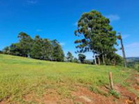 Área Rural com 4,84 ha, desocupada e com acesso por outros terrenos