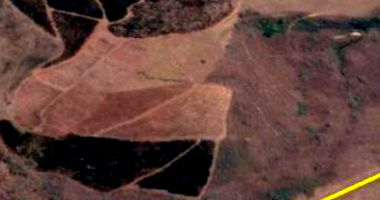 Terreno rural com benfeitorias e lavoura de café em Santa Margarida