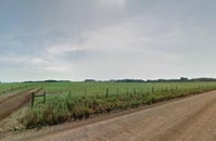Terras de campo e matos de criar, 13,3 hectares