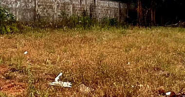Terreno em Itajá com 680 m² na Rua João Vieira Machado