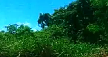 Terreno em Leilão com 360m² em Corumbaíba/GO