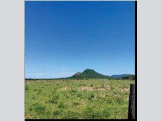 Fazenda com 378 Hectares e Pastagem Cultivada