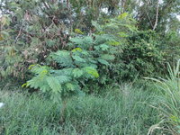 Terreno urbano de 1.016,84 m² em área valorizada