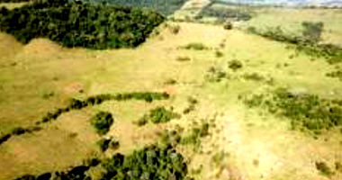 Imóvel Rural com 61.000m² em Manfrinópolis/PR
