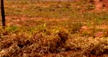 Terreno Urbano com Área de 917m² em Pérola-PR