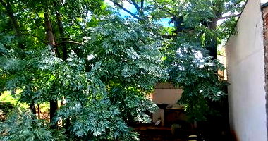 Terreno de 200m² em Mirassol/SP