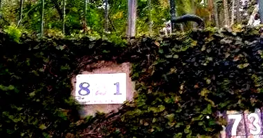 Casa padrão com 1 vaga, 393m² construída, imóvel ocupado