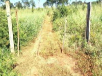 Área Rural com 14,52 ha em Estreito/MA