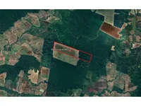 Área Rural em Leilão com 241,81ha