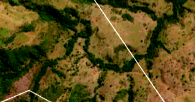 Fazenda com 306ha em Colinas do Tocantins/TO