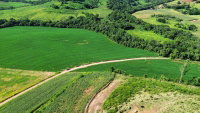 Lote rural de 16 hectares em São Lourenço do Oeste