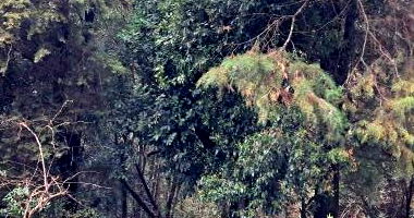 Terreno com 2.410m² em Carazinho/RS - Recuperação Judicial