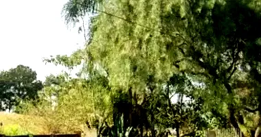 Gleba Rural com 96.800m² de terreno, imóvel ocupado