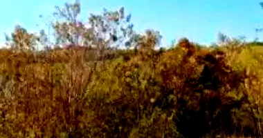 Terreno 1000m² em Vivendas do Engenho D'Água