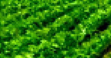 Fazenda Rural com 1783ha em Loreto/MA