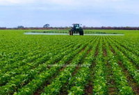 Fazenda Rural com 1783ha em Loreto/MA
