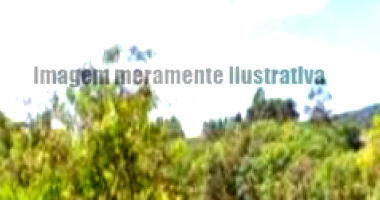 Sítio com 97,50 hectares e benfeitorias em Santana Da Vargem