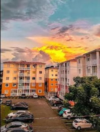 Apartamento com 2 quartos, 58,60m², 1 vaga