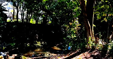 Imóvel Urbano em Chapecó com Casa