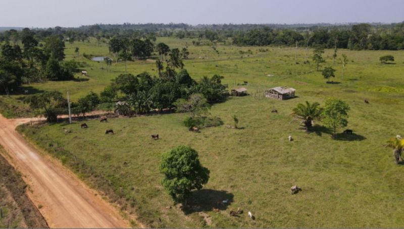 Imóvel Rural com Casa e Pasto em Mirante da Serra/RO