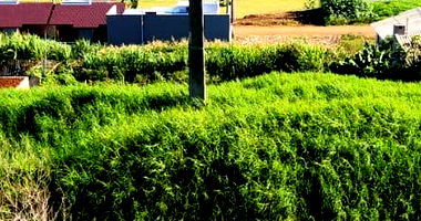 Terreno urbano institucional de 1.777,92 m² sem acessos