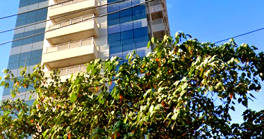Sala Comercial com 37,16 m², 1 vaga, ocupado
