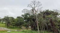 Gleba de Terras 207ha em Cachoeira da Prata/MG - Excelente Oportunidade Rural
