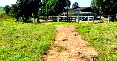 Imóvel Rural com 38,68 HA em Alta Floresta D'Oeste/RO