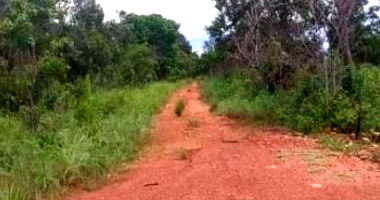 Fazenda Rural com 155 ha, ocupada, ideal para investimento