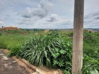 Terreno em Leilão - Orlândia/SP